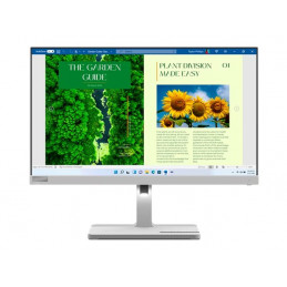 Lenovo L24m-40 - Monitor...