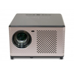 AOpen Fire Legend QF15a -...