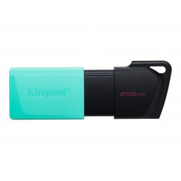 KINGSTON DATATRAVELER 256GB...