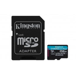 KINGSTON MICRO SD 256GB...