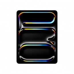 IPAD PRO 13 M5 WF CL 2TB...